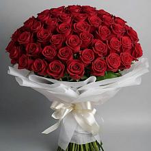 Букет 101 Красная роза Блэк Мэджик в городе Грязи