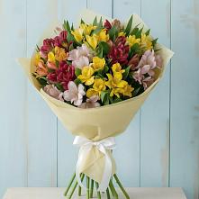 Букет цветов из:  Альстромерии #REPLACE_PRED# городе Грязи