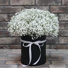 Цветочная композиция из Гипсофила в шляпной коробке в городе Грязи
