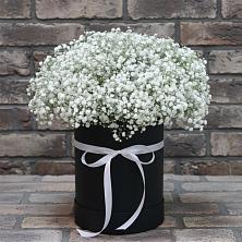 Цветочная композиция из Гипсофила в шляпной коробке в городе Грязи
