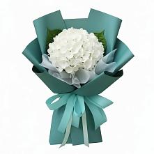 Букет цветов из:  Гортензия в городе Грязи